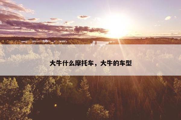大牛什么摩托车，大牛的车型