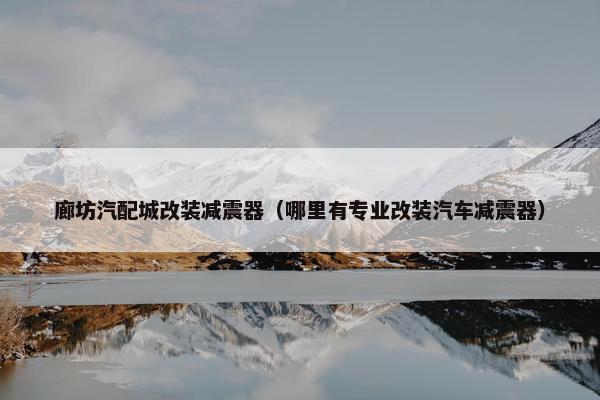 廊坊汽配城改装减震器（哪里有专业改装汽车减震器）