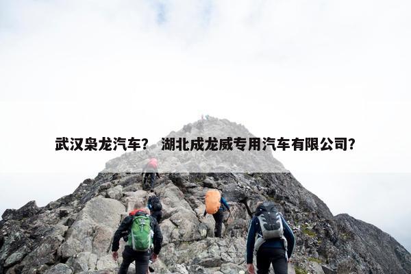 武汉枭龙汽车？ 湖北成龙威专用汽车有限公司？