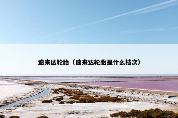 速来达轮胎（速来达轮胎是什么档次）
