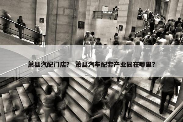 萧县汽配门店？ 萧县汽车配套产业园在哪里？