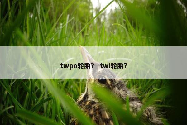 twpo轮胎？ twi轮胎？
