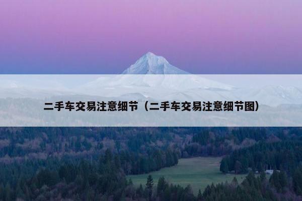 二手车交易注意细节（二手车交易注意细节图）