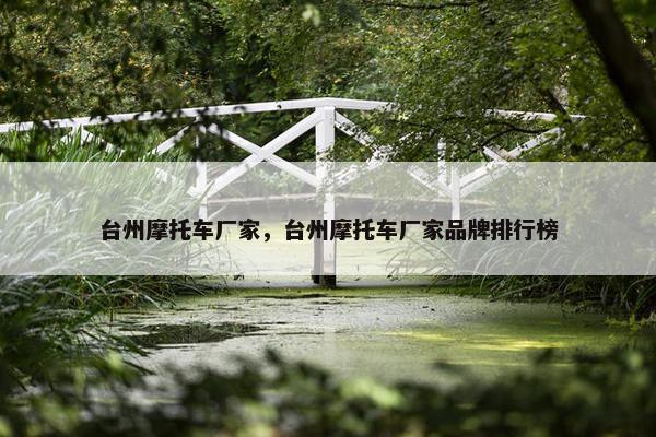 台州摩托车厂家，台州摩托车厂家品牌排行榜
