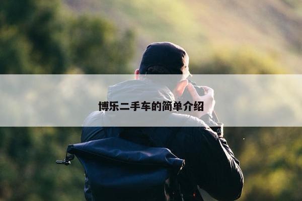 博乐二手车的简单介绍