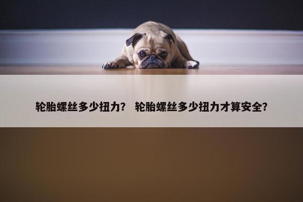 轮胎螺丝多少扭力？ 轮胎螺丝多少扭力才算安全？