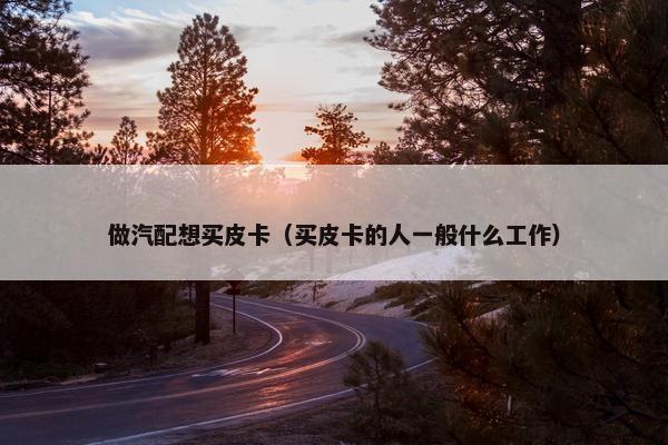 做汽配想买皮卡（买皮卡的人一般什么工作）