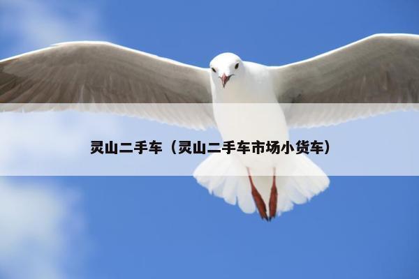 灵山二手车（灵山二手车市场小货车）