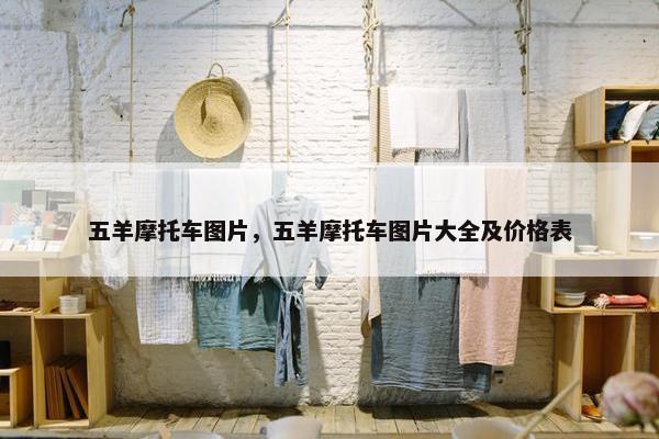 五羊摩托车图片，五羊摩托车图片大全及价格表