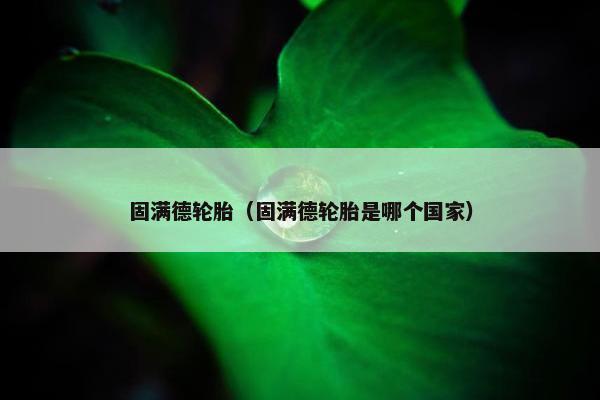 固满德轮胎（固满德轮胎是哪个国家）