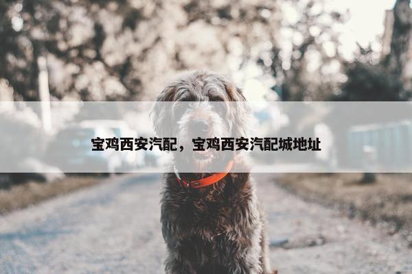 宝鸡西安汽配，宝鸡西安汽配城地址