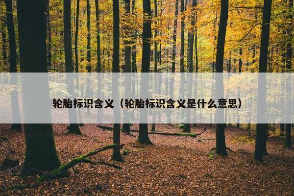 轮胎标识含义（轮胎标识含义是什么意思）