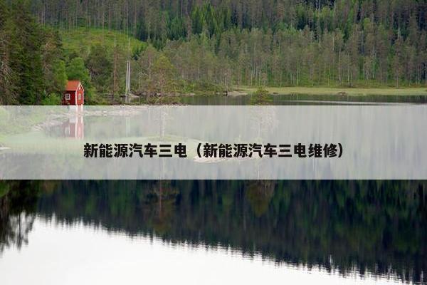 新能源汽车三电（新能源汽车三电维修）