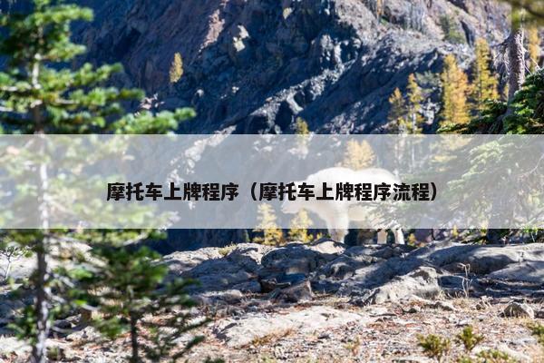 摩托车上牌程序（摩托车上牌程序流程）