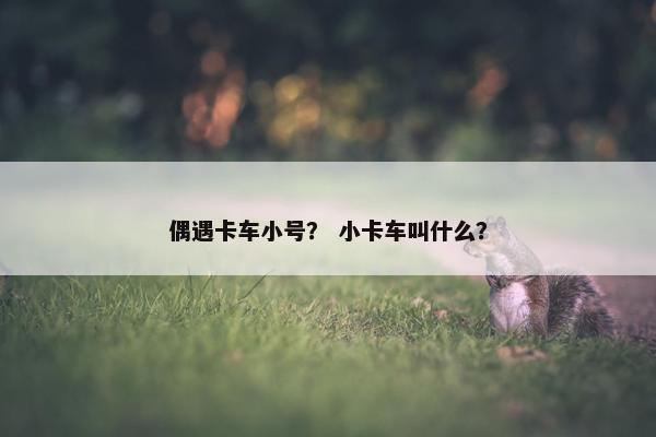 偶遇卡车小号？ 小卡车叫什么？