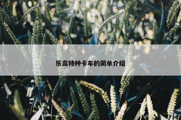 乐高特种卡车的简单介绍