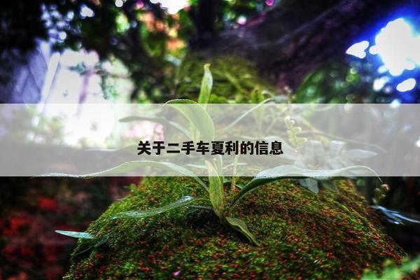 关于二手车夏利的信息