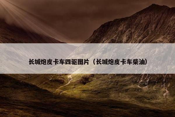 长城炮皮卡车四驱图片（长城炮皮卡车柴油）