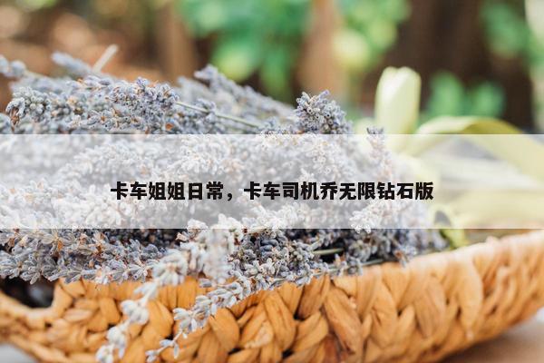 卡车姐姐日常，卡车司机乔无限钻石版