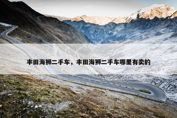 丰田海狮二手车，丰田海狮二手车哪里有卖的