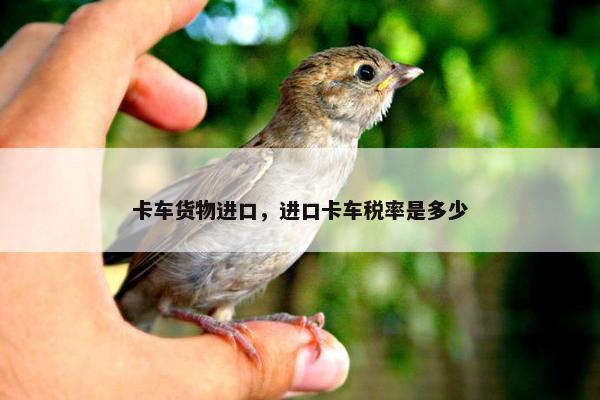 卡车货物进口，进口卡车税率是多少