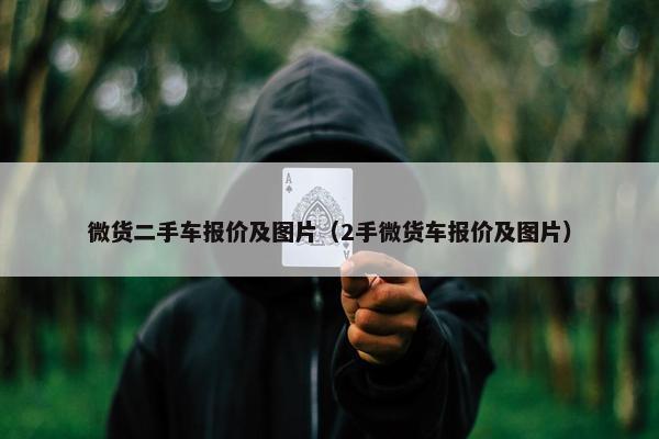 微货二手车报价及图片（2手微货车报价及图片）