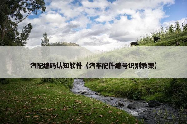 汽配编码认知软件（汽车配件编号识别教案）