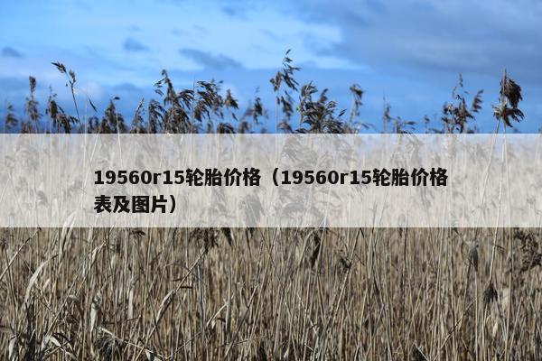 19560r15轮胎价格（19560r15轮胎价格表及图片）