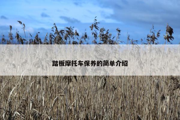踏板摩托车保养的简单介绍