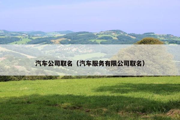 汽车公司取名（汽车服务有限公司取名）