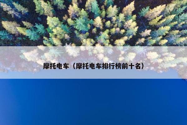 摩托电车（摩托电车排行榜前十名）
