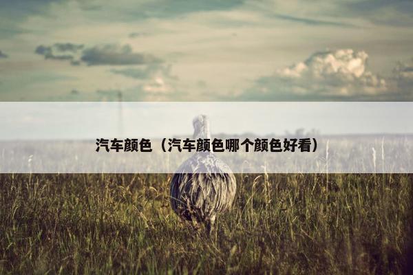 汽车颜色（汽车颜色哪个颜色好看）