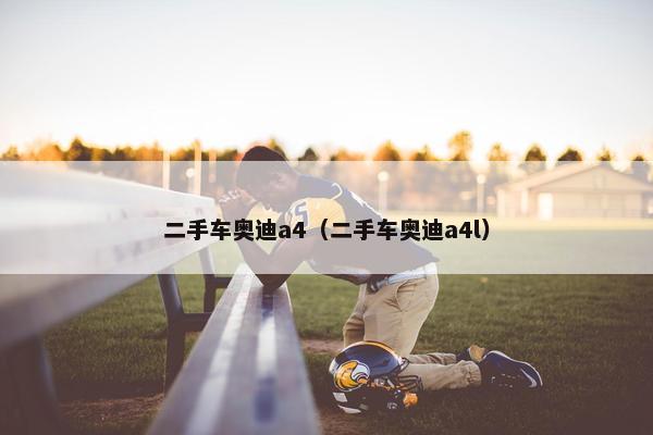 二手车奥迪a4（二手车奥迪a4l）