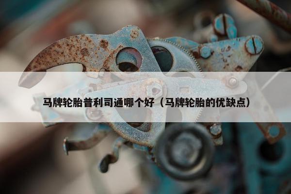 马牌轮胎普利司通哪个好（马牌轮胎的优缺点）