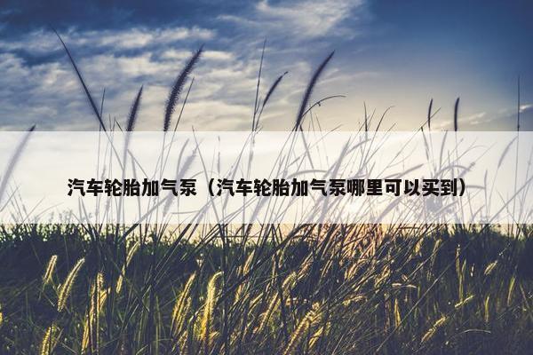 汽车轮胎加气泵（汽车轮胎加气泵哪里可以买到）