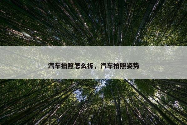 汽车拍照怎么拆，汽车拍照姿势