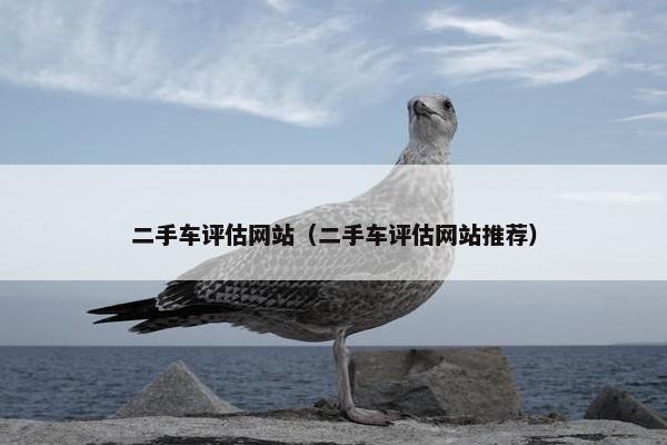 二手车评估网站（二手车评估网站推荐）