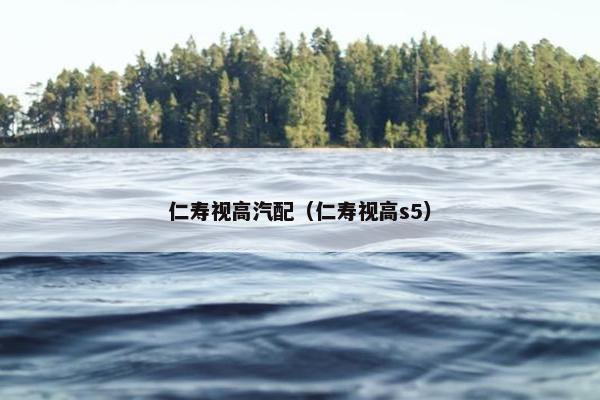 仁寿视高汽配（仁寿视高s5）