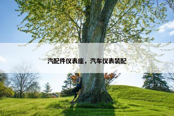 汽配件仪表座，汽车仪表装配