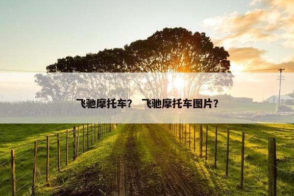 飞驰摩托车？ 飞驰摩托车图片？