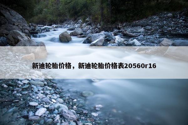 新迪轮胎价格，新迪轮胎价格表20560r16