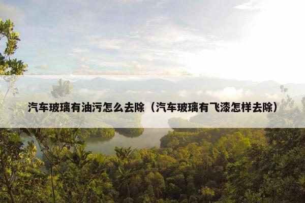 汽车玻璃有油污怎么去除（汽车玻璃有飞漆怎样去除）