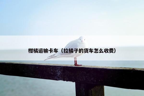 柑橘运输卡车（拉橘子的货车怎么收费）