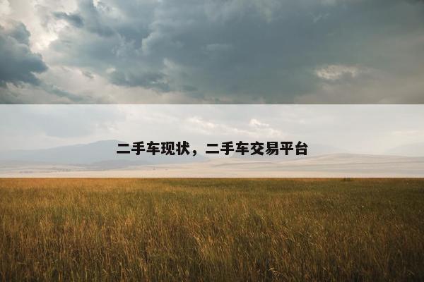 二手车现状，二手车交易平台