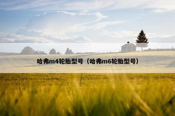 哈弗m4轮胎型号（哈弗m6轮胎型号）