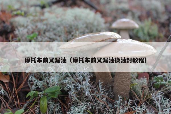 摩托车前叉漏油（摩托车前叉漏油换油封教程）