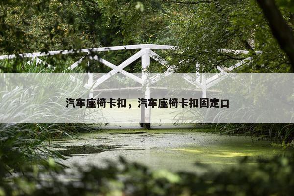 汽车座椅卡扣，汽车座椅卡扣固定口