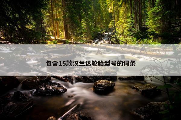 包含15款汉兰达轮胎型号的词条