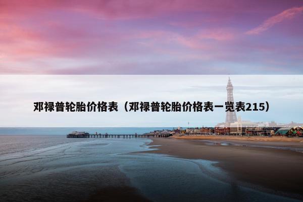邓禄普轮胎价格表（邓禄普轮胎价格表一览表215）