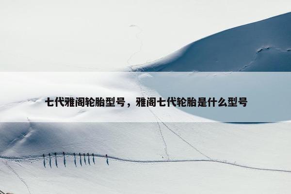 七代雅阁轮胎型号，雅阁七代轮胎是什么型号